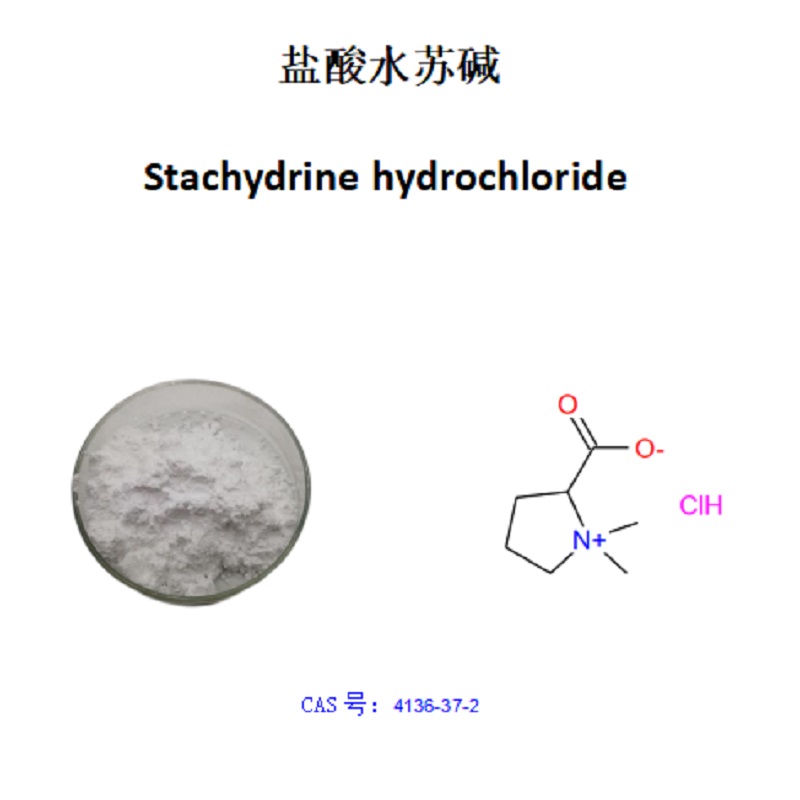 盐酸水苏碱